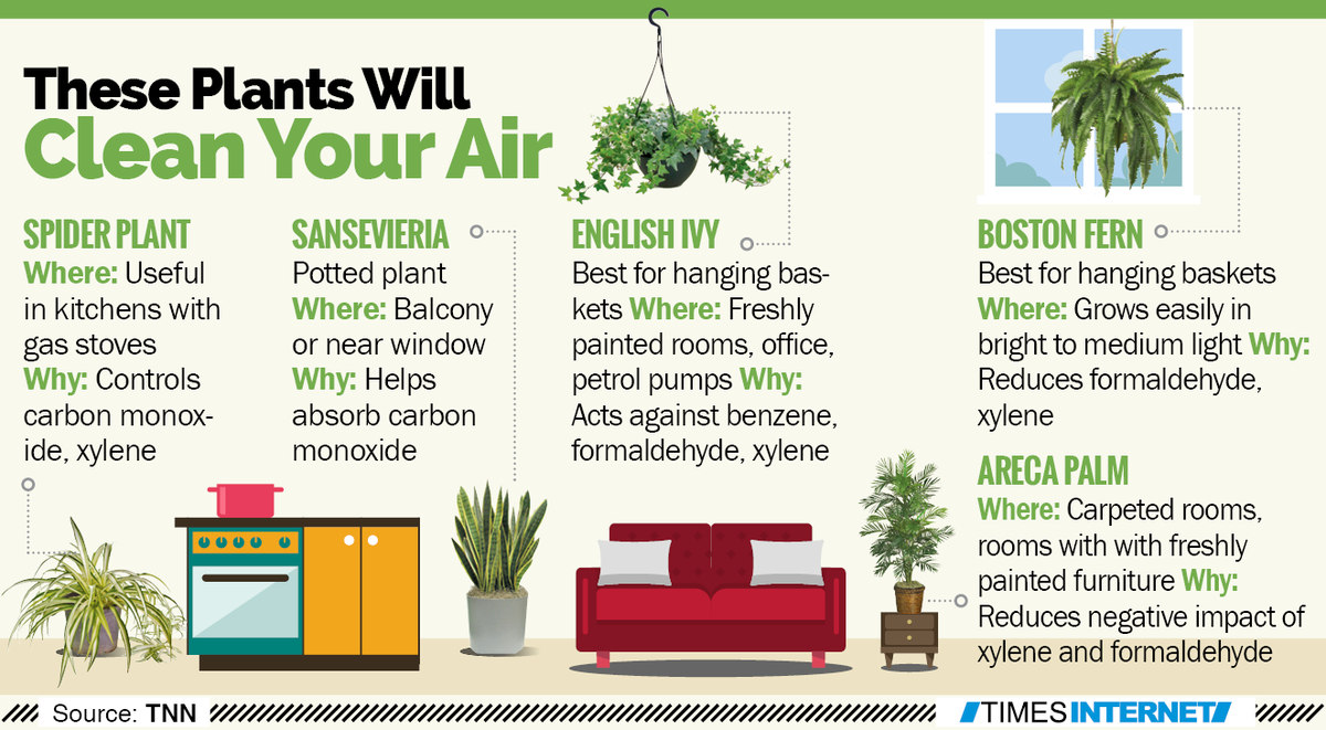 timesofindia's tweet photo. The best air purifiers cost the least https://t.co/MZfDz1xvWE