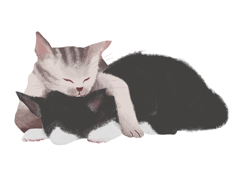 眠り猫のtwitterイラスト検索結果 古い順 眠り猫のtwitterイラスト検索結果 古い順