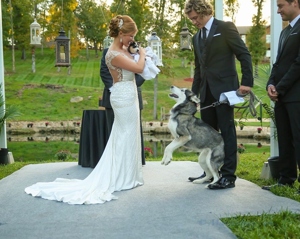 HtLeash's tweet photo. @McKennaMedley helping to kickoff the first ever #houndstoothwedding with those two amazing pups. We love it! https://t.co/vq4KqQ5Uk8