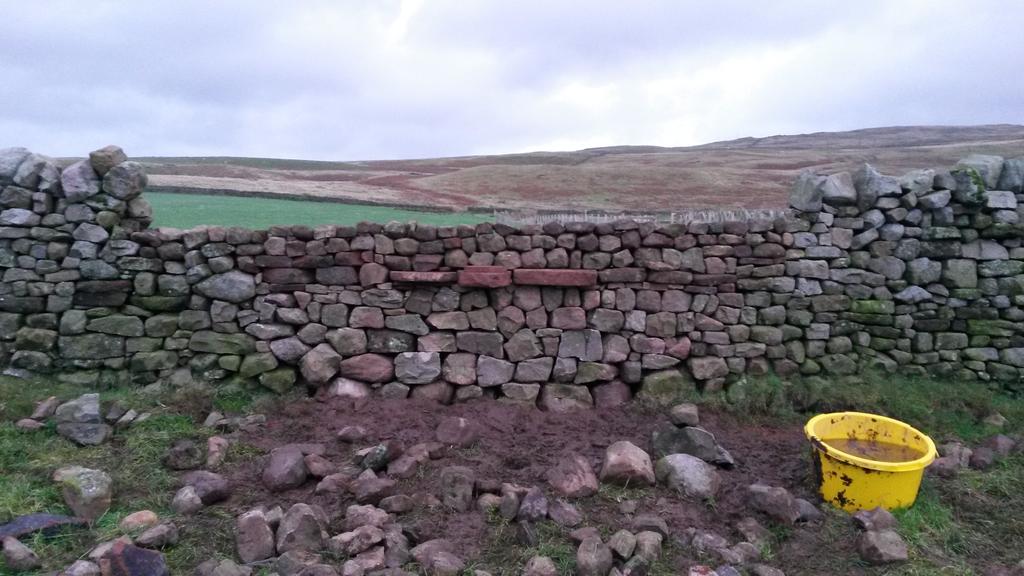 Cannerfarm's tweet photo. Getting there with the #herdwick gap #sheep365 #wallathon https://t.co/l3vkNyEzPR