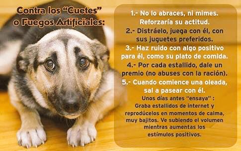 juliasalinas tweet picture