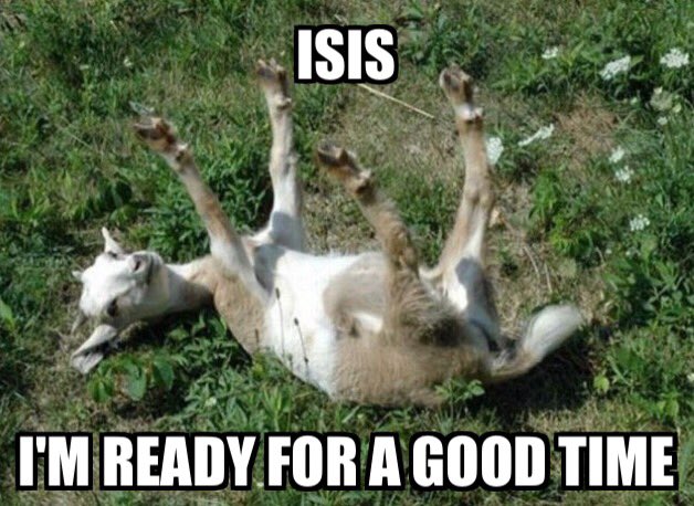 JeMoeder_91's tweet photo. #Daeshbags en we blijve gaan! https://t.co/LOPlfOoQjt