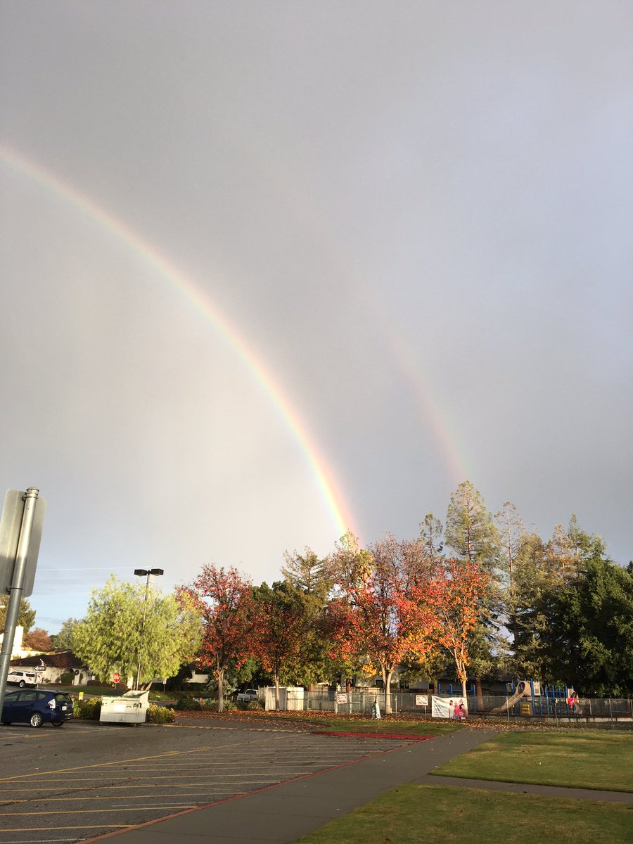 Stevens Creek School tweet media