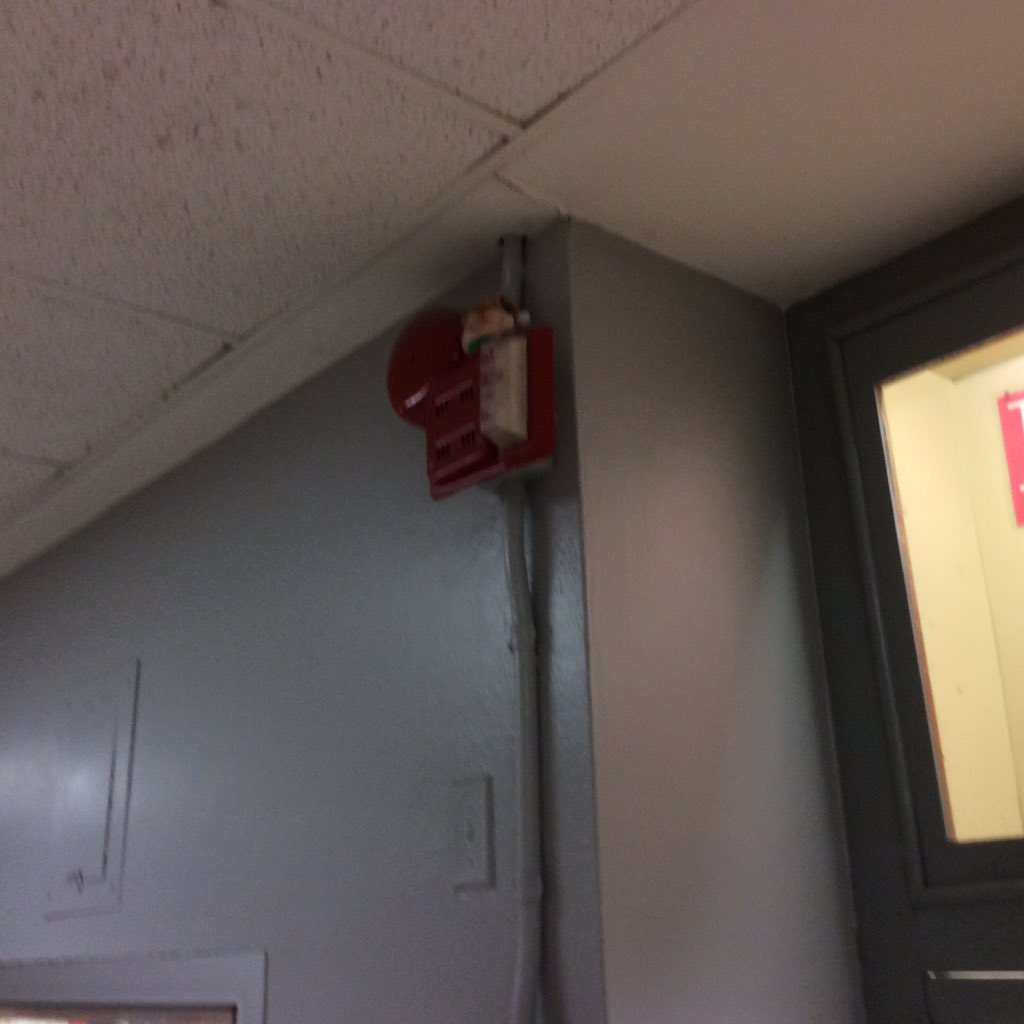 sprtsctt's tweet photo. I found him!#ilovesjms https://t.co/cov37wR68B