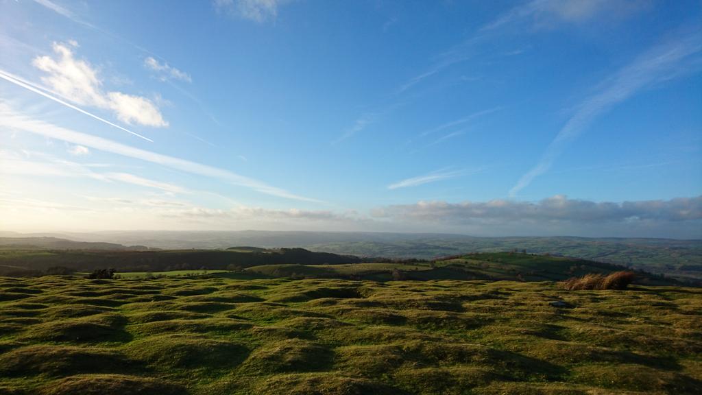 sheepscannerman's tweet photo. Back in the black mountains. Love scanning
! https://t.co/OoTQs0cuZz