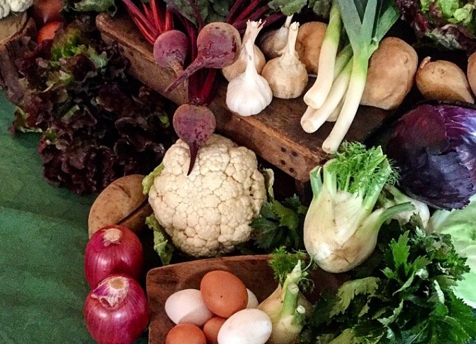 TiniChef's tweet image. I love good quality products!Have you already tried #organicfood straight to your doorstep? bit.ly/1Renxt7