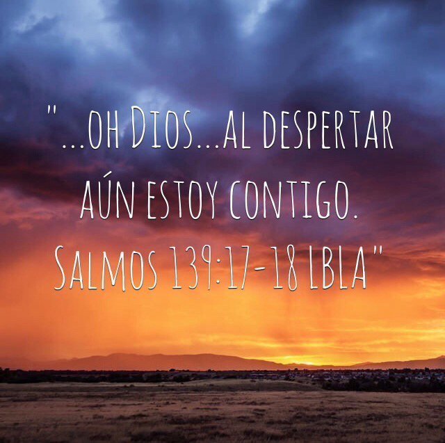 JESUSBRILLA's tweet photo. https://t.co/XkoyNNjz0O