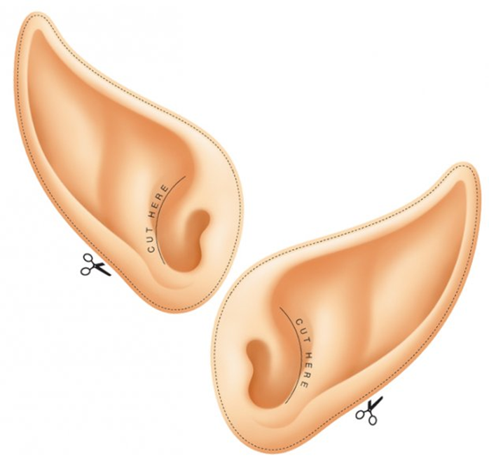 City_of_Mobile's tweet photo. Use this handy cutout for your elf ears tonight! It's almost time to break the @GWR for most elves in one place. https://t.co/LRuxYf5oXa