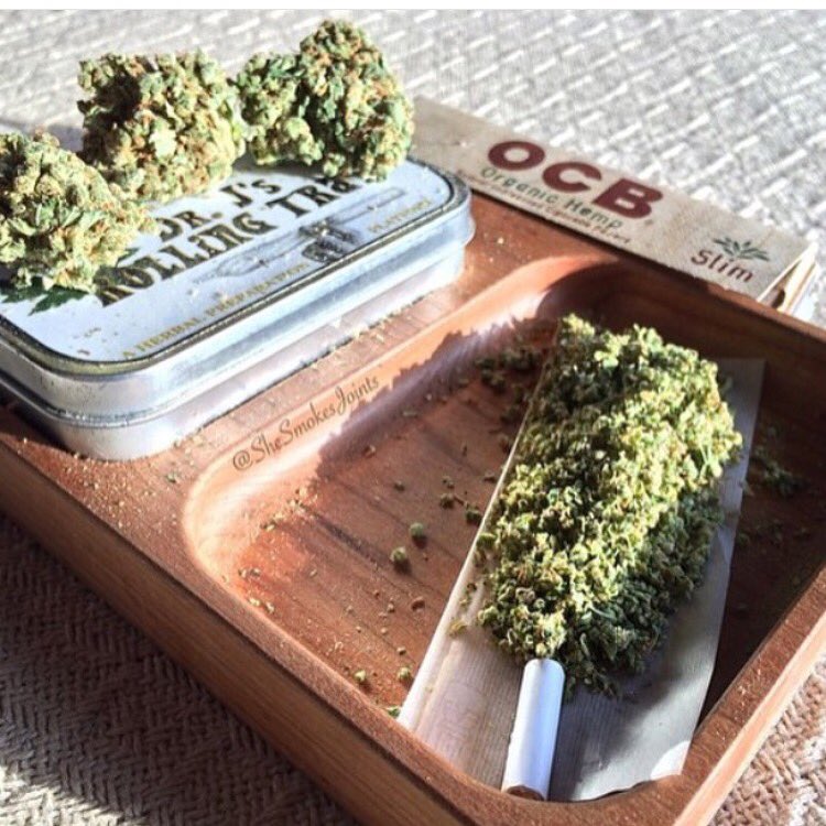 rollingtrays's tweet image. Blow out sale on our small Dr. J's Rolling Trays. $39.99CAD while quantities last. 

Visit RollingTrays.com