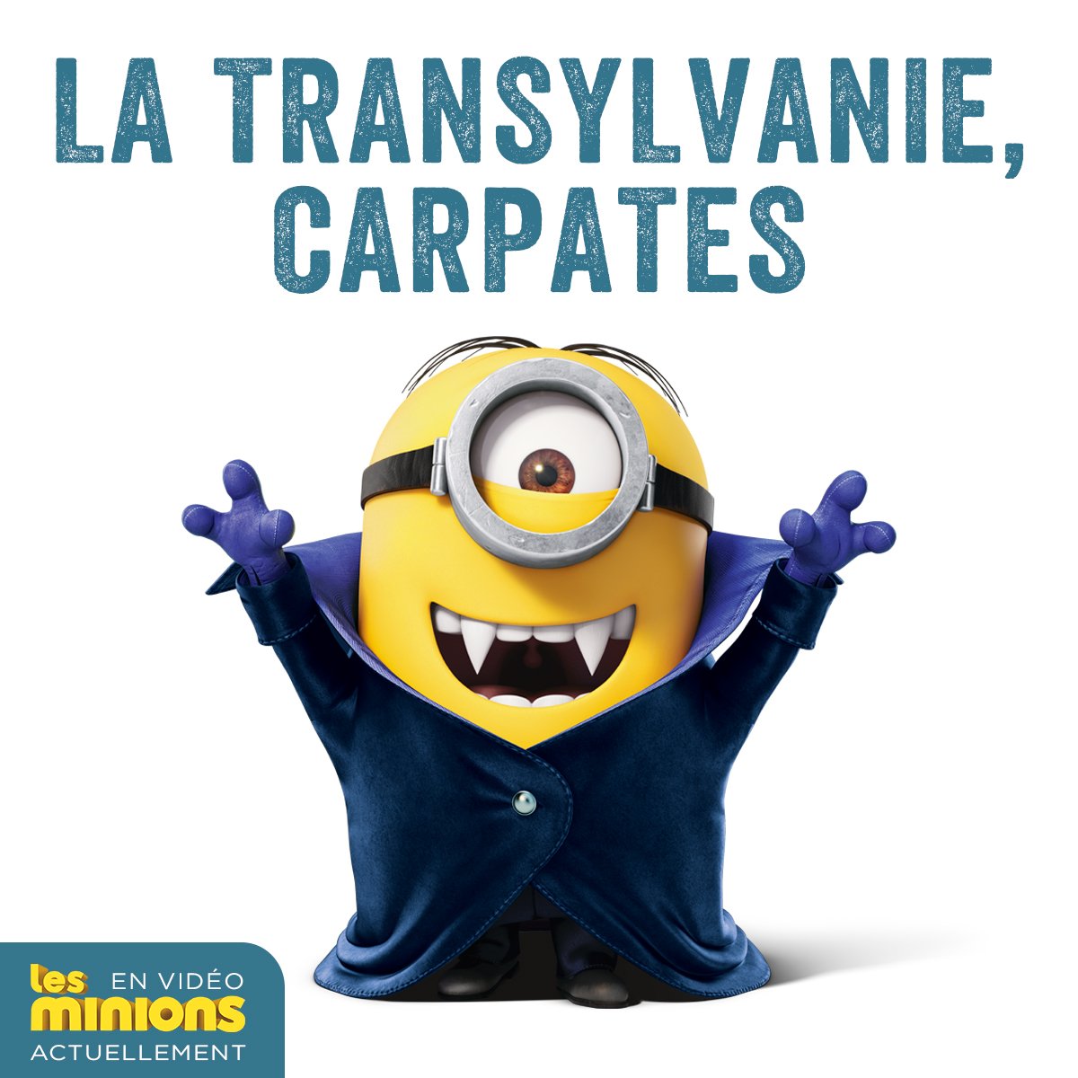 LesMinions tweet media