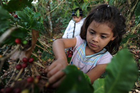 bilaterals_org's tweet photo. #Honduras and #CAFTA show us one of the key reasons why #TPP shd be opposed https://t.co/UBfkeIAaY4 https://t.co/DSojJoiXPP