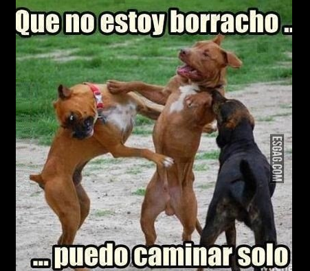 gecekamag's tweet photo. 20 frases de borracho con las que serás la estrella de cualquier fiesta https://t.co/qxkm49Fzit https://t.co/QyaLfeg8d1