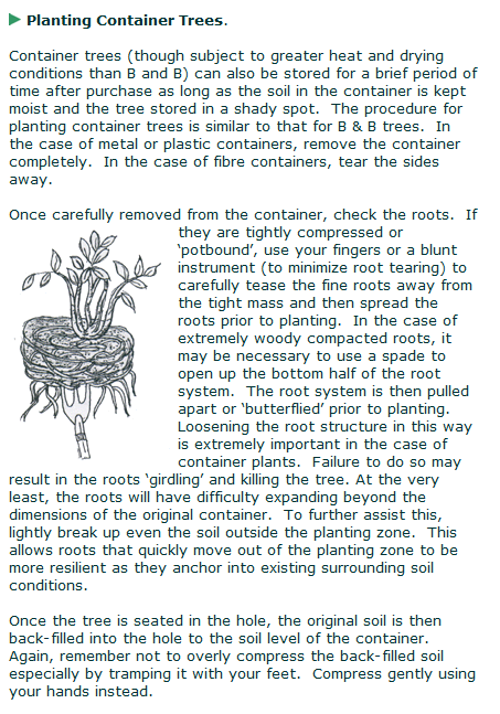 4SeasonsTree925's tweet image. #SanRamonLandscaping #TreeCleaning #TreeThinning