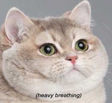 FloremSpiritus's tweet image. X-Men Apokalypse.... #CantWaitForThis