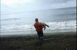 AnimalPlanet's tweet photo. This kind man buys sea turtles from markets and sets them free! >> https://t.co/OTsIA41Mpc https://t.co/ZpwRmpHiUz