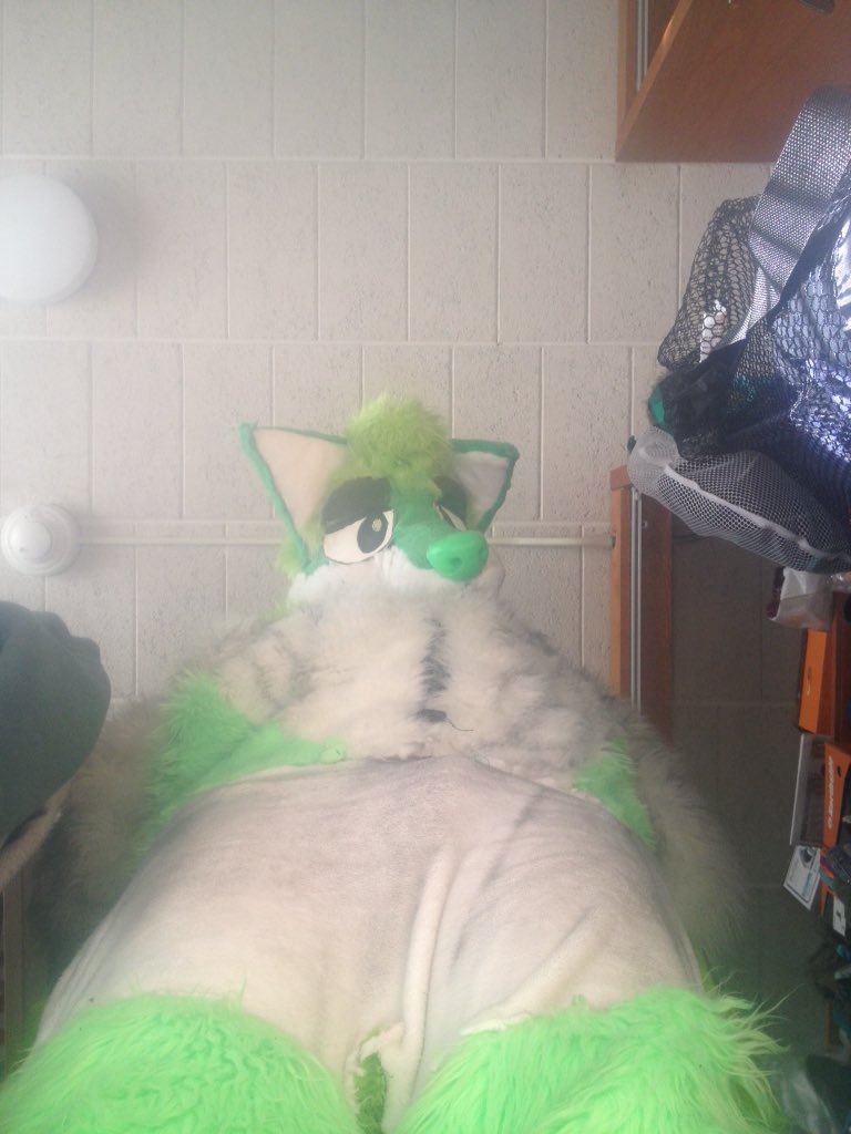 Mfalmelion's tweet photo. Tis the season to be jolly. (I gained some weight๐ฝ)#fursuit #fursuitfriday #fursuitbelly #gideon #corgsky https://t.co/llAbm2a5Lj