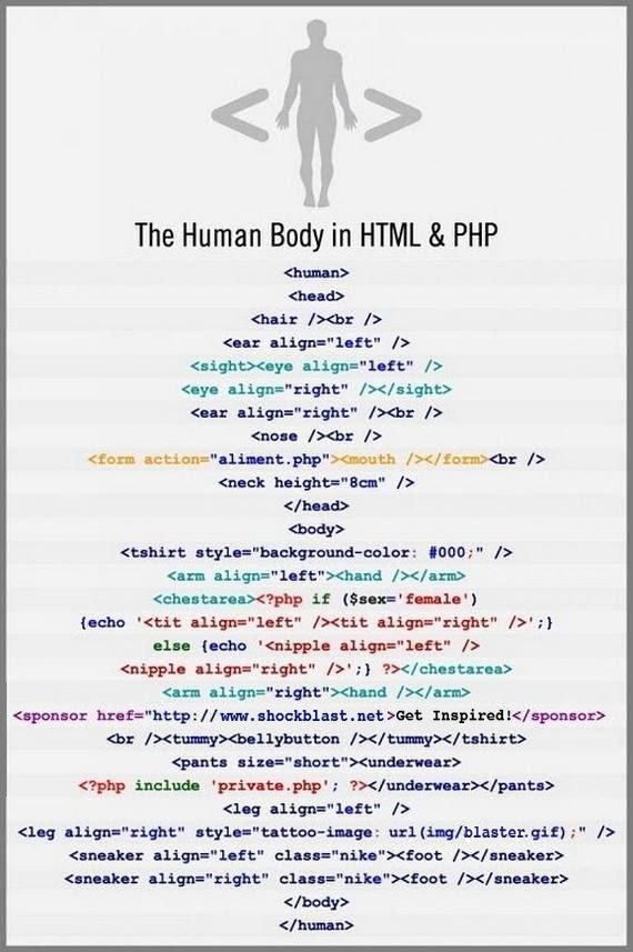 WebDevHumour's tweet image. The human body in HTML &amp;amp; PHP