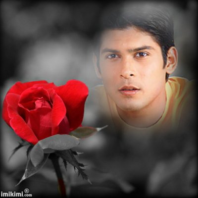 A rose, for a special man! HAPPY BIRTHDAY SID SHUKLA  