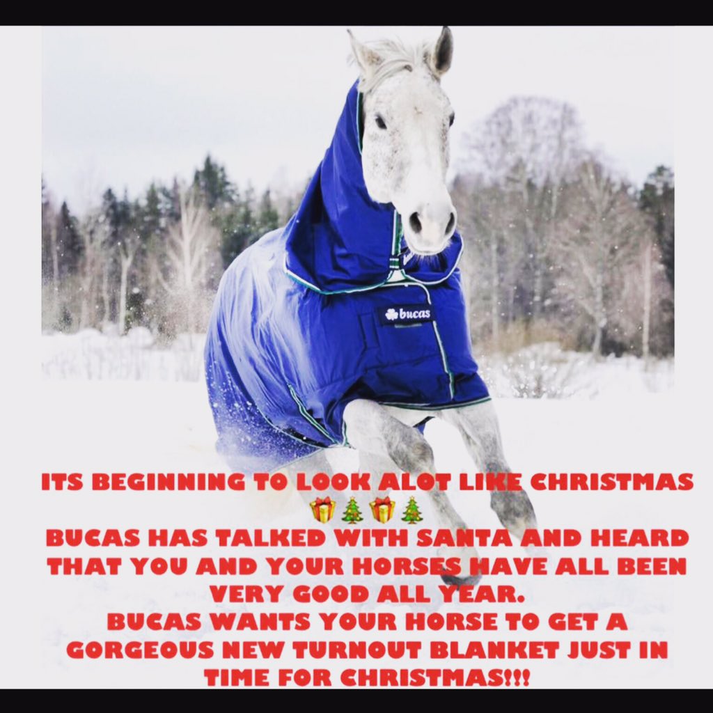 SMARTEX GIVEAWAYS 🎄🎁🎄
ENTER NOW FACEBOOK AND INSTAGRAM 2 SEPARATE GIVEAWAYS! SHARE WITH ALL YOUR EQUESTRIAN FRIENDS.