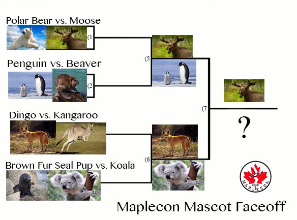 maplleconn's tweet photo. Here's where we are so far on voting! Will the koala or dingo win next round? VOTING STARTS IN A MOMENT #maplecon https://t.co/YHapUbbp0Z