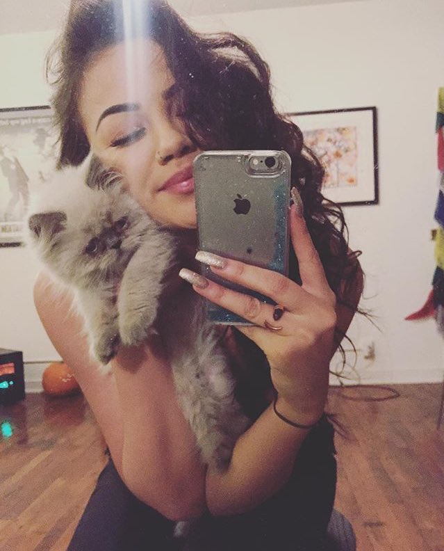 rt me pls❤️ me and my kitten need shares🙊