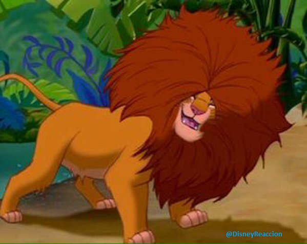 DisneyReaccion's tweet photo. Cuando hay humedad. https://t.co/iWMWY6doAN