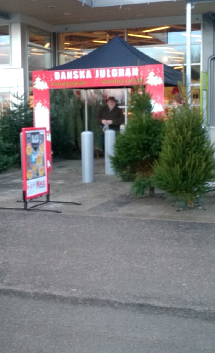 Sweddit's tweet photo. "Vi har blivit infiltrerade. Julgransmarknaden är förlorad." https://t.co/BslKfgkI0W https://t.co/f9HskspNpT