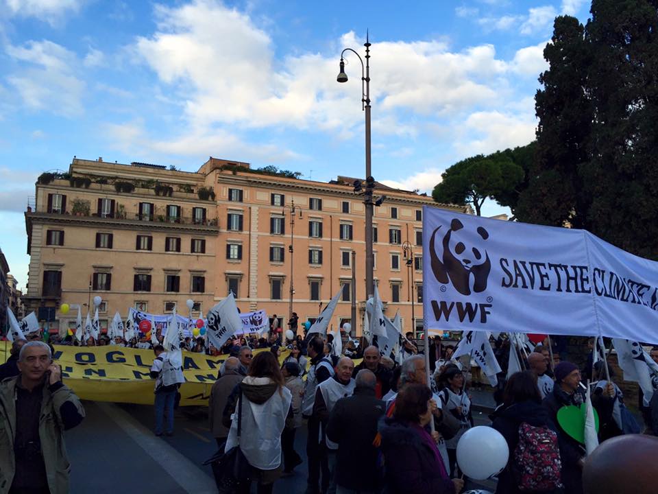 WWFFrance's tweet photo. 570 000 personnes se sont réunies ce weekend pour appeler à protéger la planète du changement climatique #COP21 https://t.co/uRGqGwaqLt