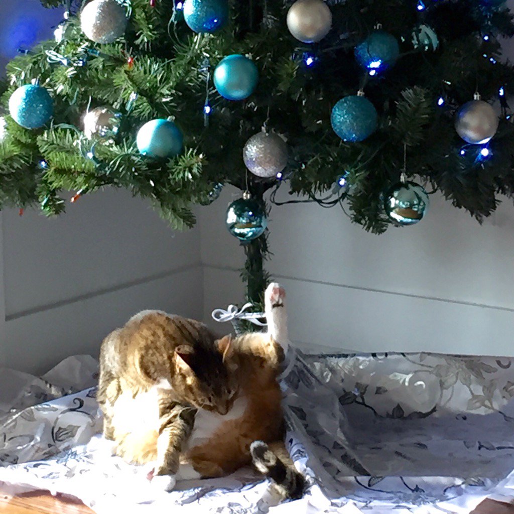 Xmas came early this year!  <a href="/AlbusTheIntern/">Albus The Intern</a> you are the greatest gift of all. #PuppiesAreDicks