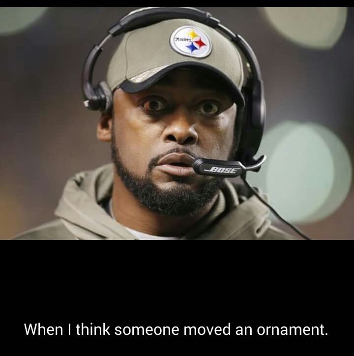 SteelersFanTN's tweet image. My Christmas faces. 😊 #GamedayFun #HereWeGo @steelers