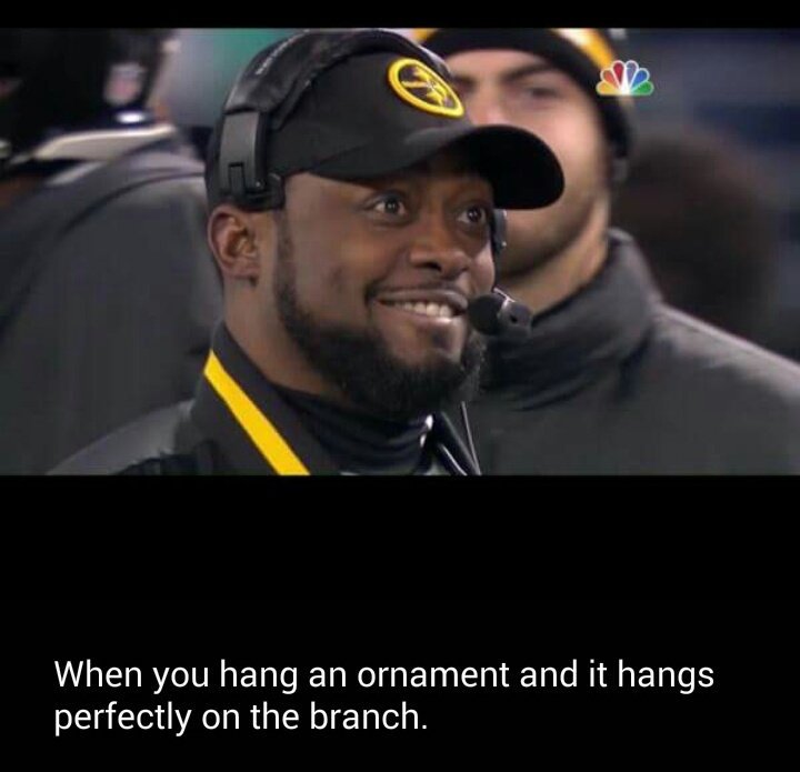 SteelersFanTN's tweet image. My Christmas faces. 😊 #GamedayFun #HereWeGo @steelers