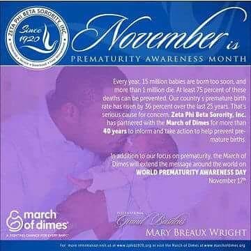 Phi Theta Zeta (@gardenazetas) on Twitter photo 