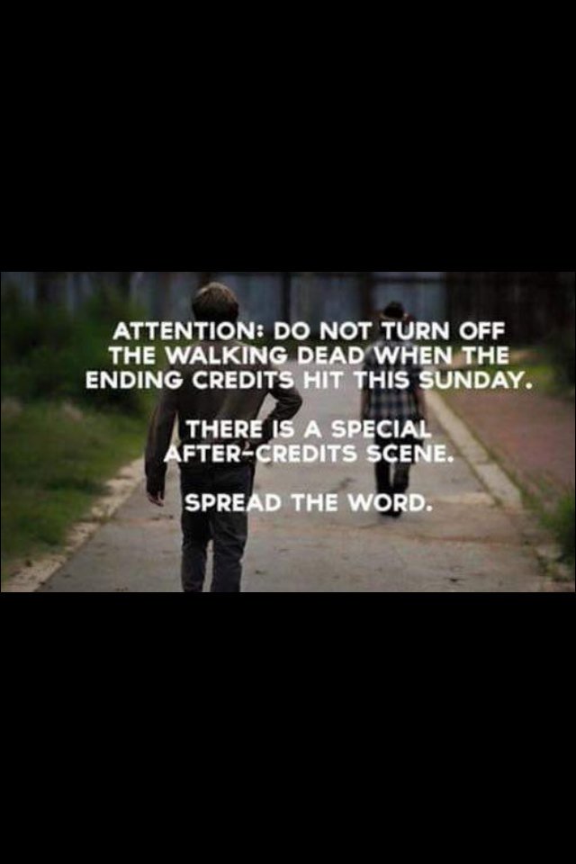 lovesflanery tweet picture
