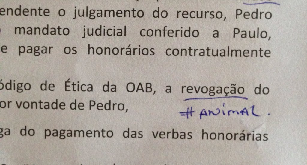 JoiciFerreira's tweet photo. Como n lembrar!? #Animal @profmarcoant https://t.co/nJbL3p2vIN