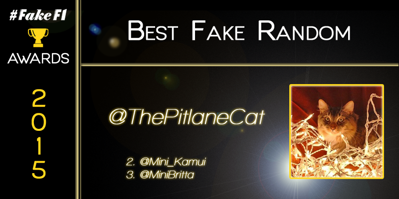 FakeF1Awards's tweet photo. Winner of the #FakeF1 Award for the 2015 Best Fake Random  is @ThePItlaneCat https://t.co/QeOn9QA7GW
