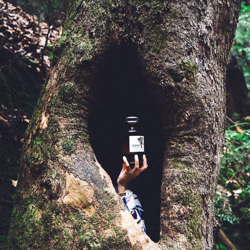 TNExplorersClub's tweet photo. Woods and whisky. My perfect idea of a restful weekend with @suntorywhisky's Hibiki Japanese Harmony. Where do you … https://t.co/EncZHeGXbV