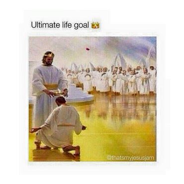 Martiniique's tweet photo. Ultimate life goal. https://t.co/fQR0ZPurGc
