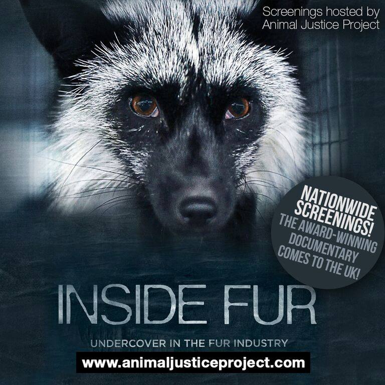 ajpReact's tweet photo. The #InsideFur tour kicks off this week! Come along to one of our nationwide screenings: https://t.co/jJRX6TDFze https://t.co/qy0V5tk9Z3