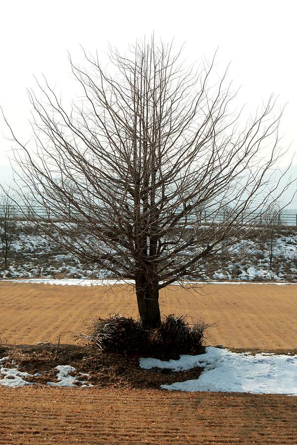 <백일기도(2) 제6일>
"나와 남이 다르다는 것을
 인정만 할 수 있어도
 번뇌는 훨씬 줄어듭니다."