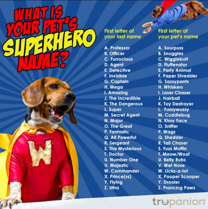 totallymighty's tweet photo. #Superhero #Pet #Name https://t.co/xzIQE3gHSd