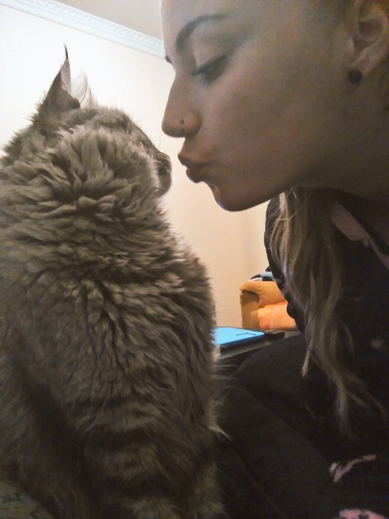 albiti18's tweet photo. Mi bebesito lindo! #bisbisbis #gatito #prr <3 https://t.co/xnEpUFMMTQ