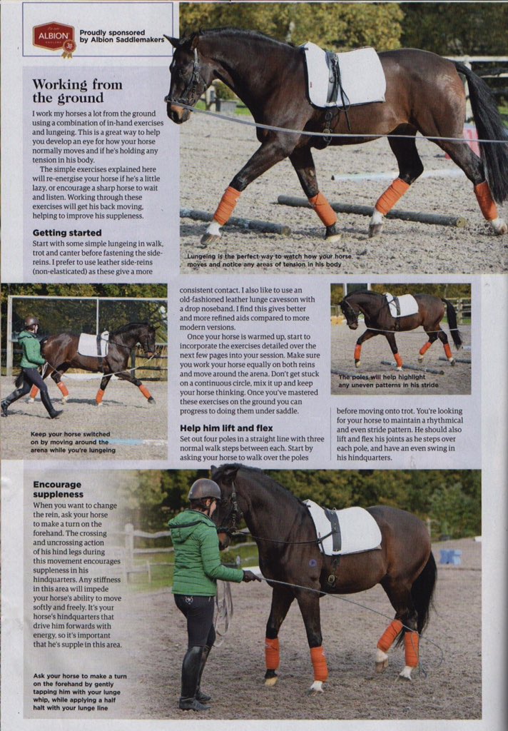 RiddSarah's tweet photo. Fab month working with Your Horse magazine showing my training system.  #Weymarsh#YourHorseMagazine# https://t.co/nSUsPZ7Xng