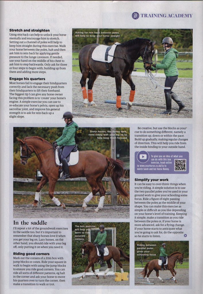 RiddSarah's tweet photo. Fab month working with Your Horse magazine showing my training system.  #Weymarsh#YourHorseMagazine# https://t.co/nSUsPZ7Xng