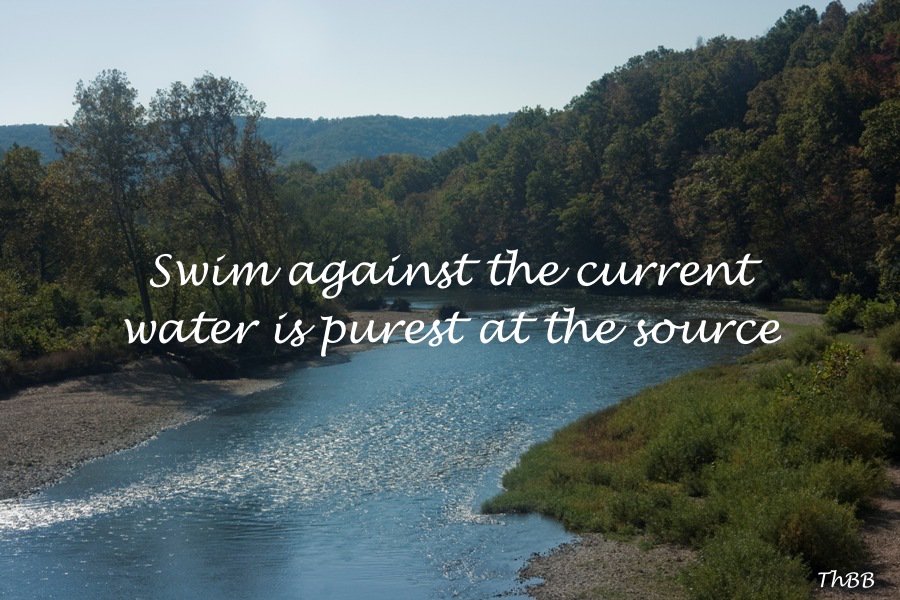 thomasbbisig's tweet photo. Swim #againstthecurrent - Water is #purest at the #source. #Uncontaminated #DoItYourWay #ThinkBIGSundayWithMarsha https://t.co/7JsDe8QWIT