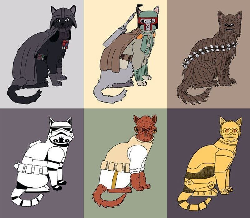 Do you know, there aren`t cats in Star Wars?! 
