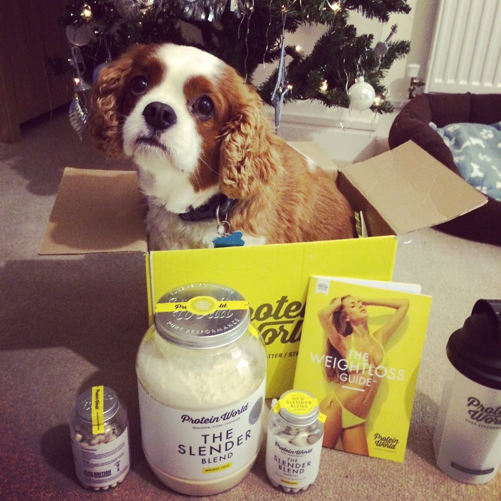 jessicawhytex's tweet photo. @ProteinWorld Woody wants free slender blend powder every month! 💪🏼🍓🍌🍉🏃🏼 https://t.co/masgNhrzoJ
