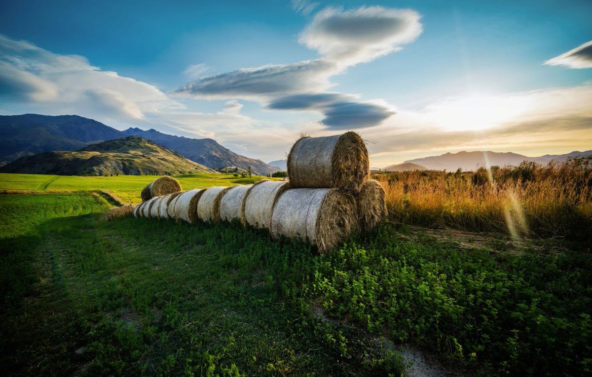 Making hay while the sun shines #queenstownsummertime #haymaking 
Images courtesy of: <a href="/TreyRatcliff/">Trey Ratcliff</a>