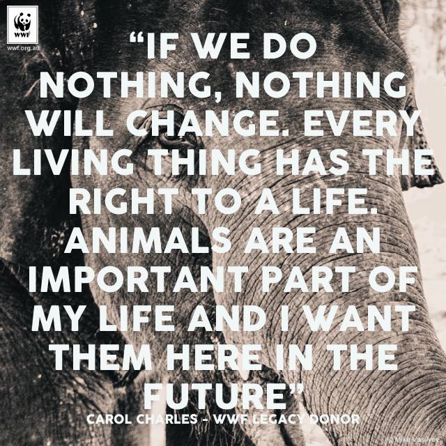 PHARMACY_D1RECT's tweet photo. #takethatstep #future @GreatestQuotes @quotes https://t.co/34RKdIEih7