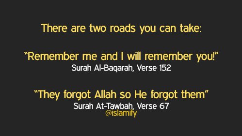 Alhamdhulillaah's tweet photo. Which path do you choose? https://t.co/l8yO7PdsKi