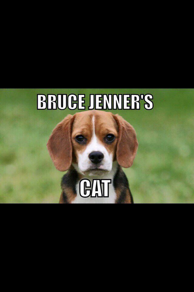 Paul Gross (@paulgross_) on Twitter photo 